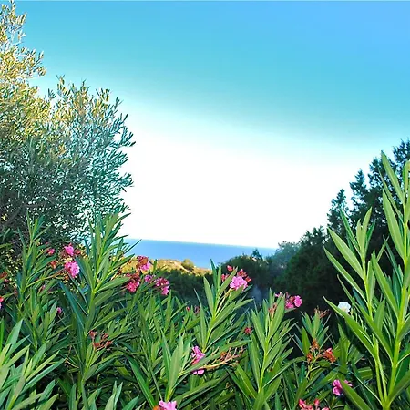 Сasa de vacaciones F2 Tonnara Pour 4 Personnes, Rondinara, Bonifacio (Corsica)